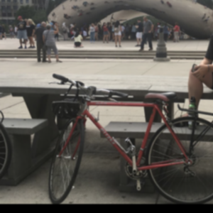1985 Miyata 710 Red