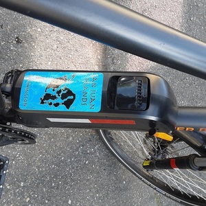 2017 Rad Power Bikes Black