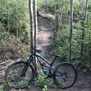 2018 YT Capra 29AL Black