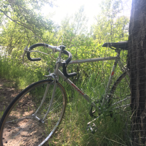 1984 Miyata One Ten Silver, gray or bare metal