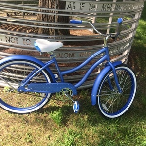 Huffy Blue