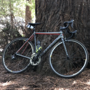 2017 Cannondale CAAD12 Silver, gray or bare metal