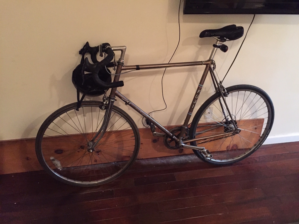 fuji royale bike