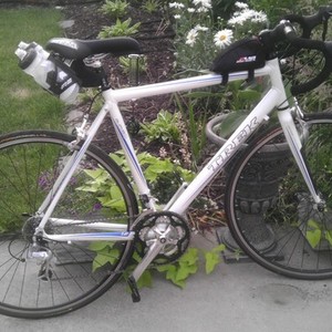 Trek White