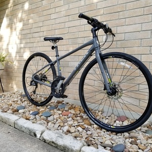 2015 Trek Silver, gray or bare metal