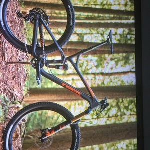 2016 Other FU82923 Black and Red