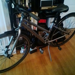Trek 7.2 FX  Silver or Gray