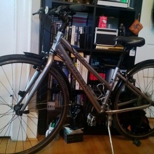 Trek 7.2 FX  Silver or Gray