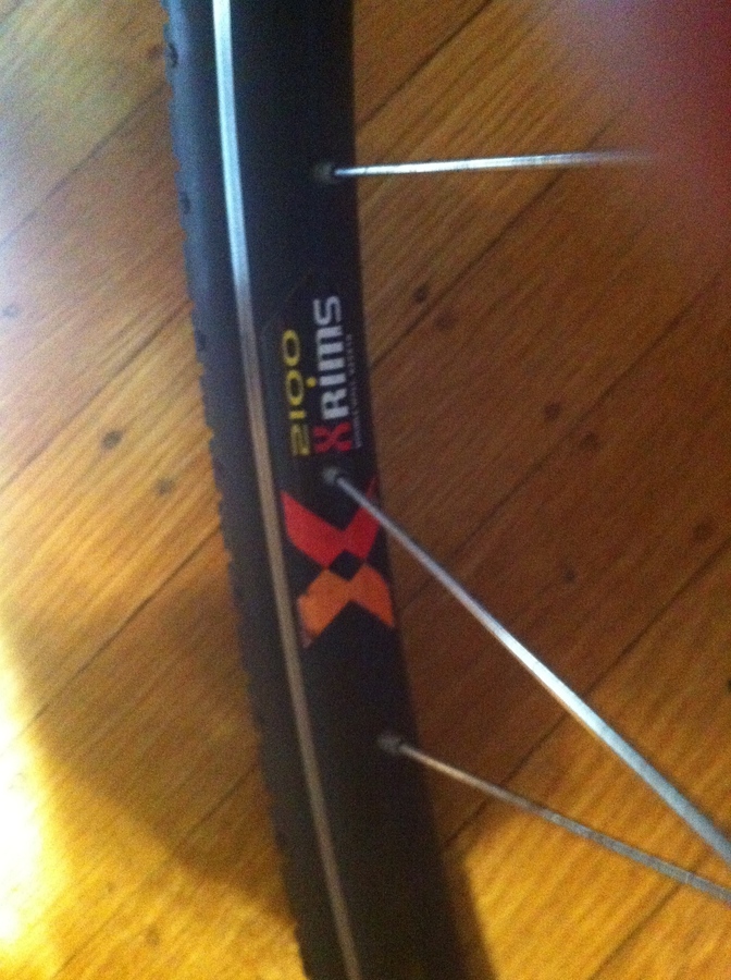 bianchi 7005 aluminum