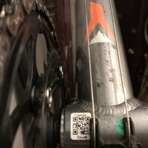 2016 Fuji Sportif 2.5 Silver, gray or bare metal
