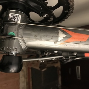 2016 Fuji Sportif 2.5 Silver, gray or bare metal