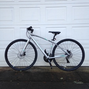 Raleigh Alysa 2 Silver, gray or bare metal