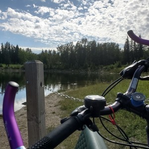Specialized Hardrock Blue