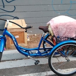 Schwinn Meridian tricycle Blue and White