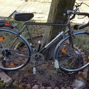 1979 Fuji Royale Silver, gray or bare metal