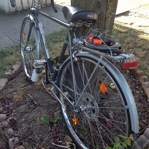 1979 Fuji Royale Silver, gray or bare metal