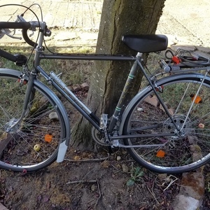 1979 Fuji Royale Silver, gray or bare metal
