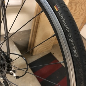 Raleigh 20” Silver, gray or bare metal
