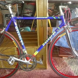 Daccordi  Blue
