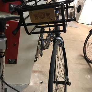 Raleigh 20” Silver, gray or bare metal
