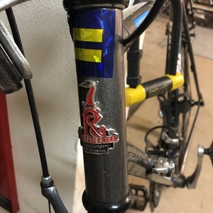 Raleigh 20” Silver, gray or bare metal
