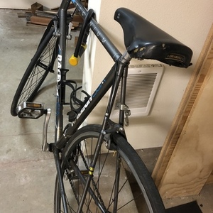 Raleigh 20” Silver, gray or bare metal