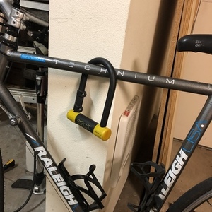 Raleigh 20” Silver, gray or bare metal