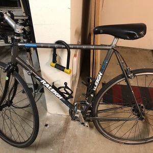 Raleigh 20” Silver, gray or bare metal