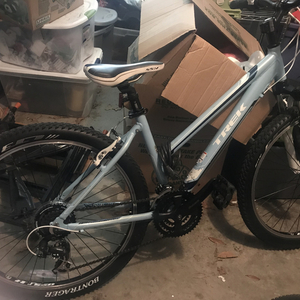 Trek Skye Blue and Black