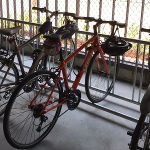 2016 Trek 7.4 FX 17.5 Orange
