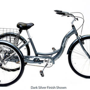 2013 Schwinn Meridian cargo tricycle (rear storage) Blue