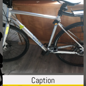 Marin Bikes Gestalt Silver, gray or bare metal