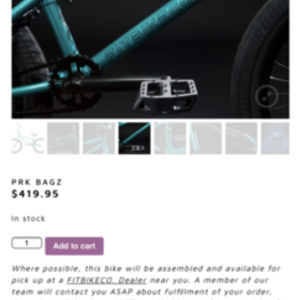 2019 Fit bike Co. Prk bagz Teal