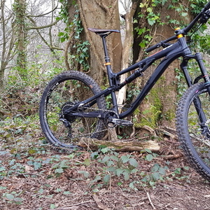 2018 Bird Aeris 145 Black