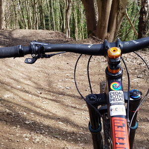2018 Bird Aeris 145 Black