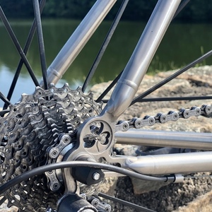 2011 Lynskey Helix Silver, gray or bare metal