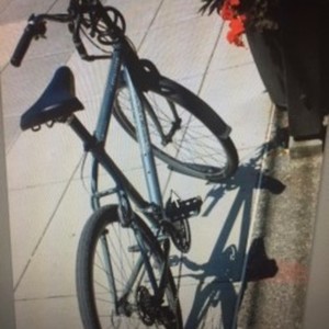 Specialized Rockhopper 29 Green