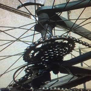 Specialized Rockhopper 29 Green