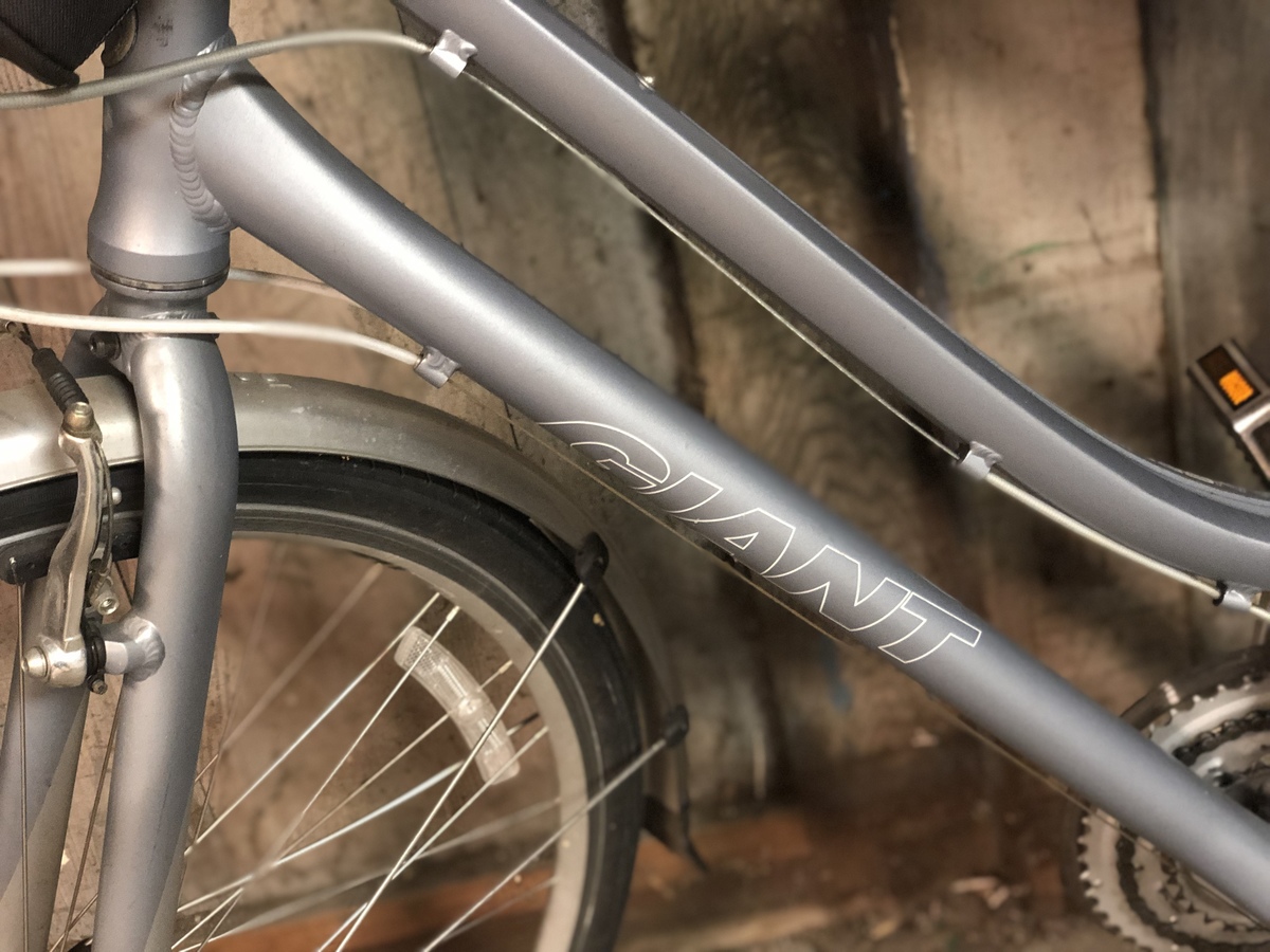 giant transend dx bike