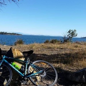2016 Specialized Dolce Green