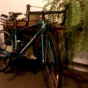 2016 Specialized Dolce Green