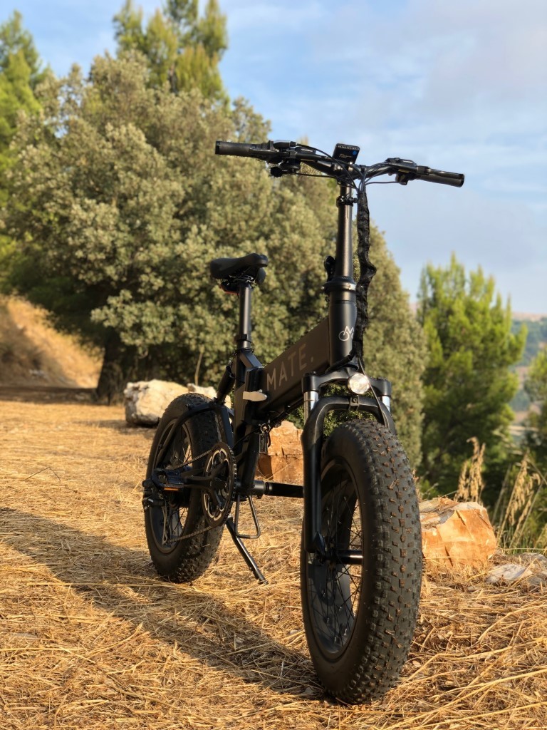 mate x bike price