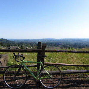 2008 Cannondale Synapse?  Green