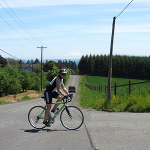 2008 Cannondale Synapse?  Green