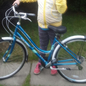 2016 Raleigh Detour 3 Blue and Teal