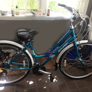 2016 Raleigh Detour 3 Blue and Teal