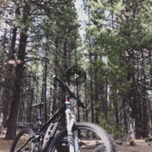 2015 Trek Fuel EX 8 Black