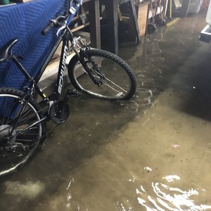 Specialized Black