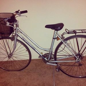Schwinn  Silver or Gray