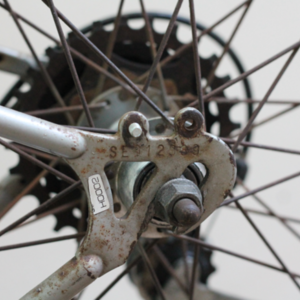 Schwinn  Silver or Gray